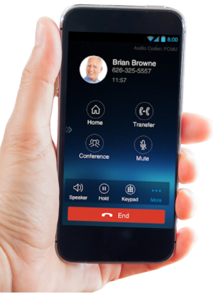 Untitled design (20)